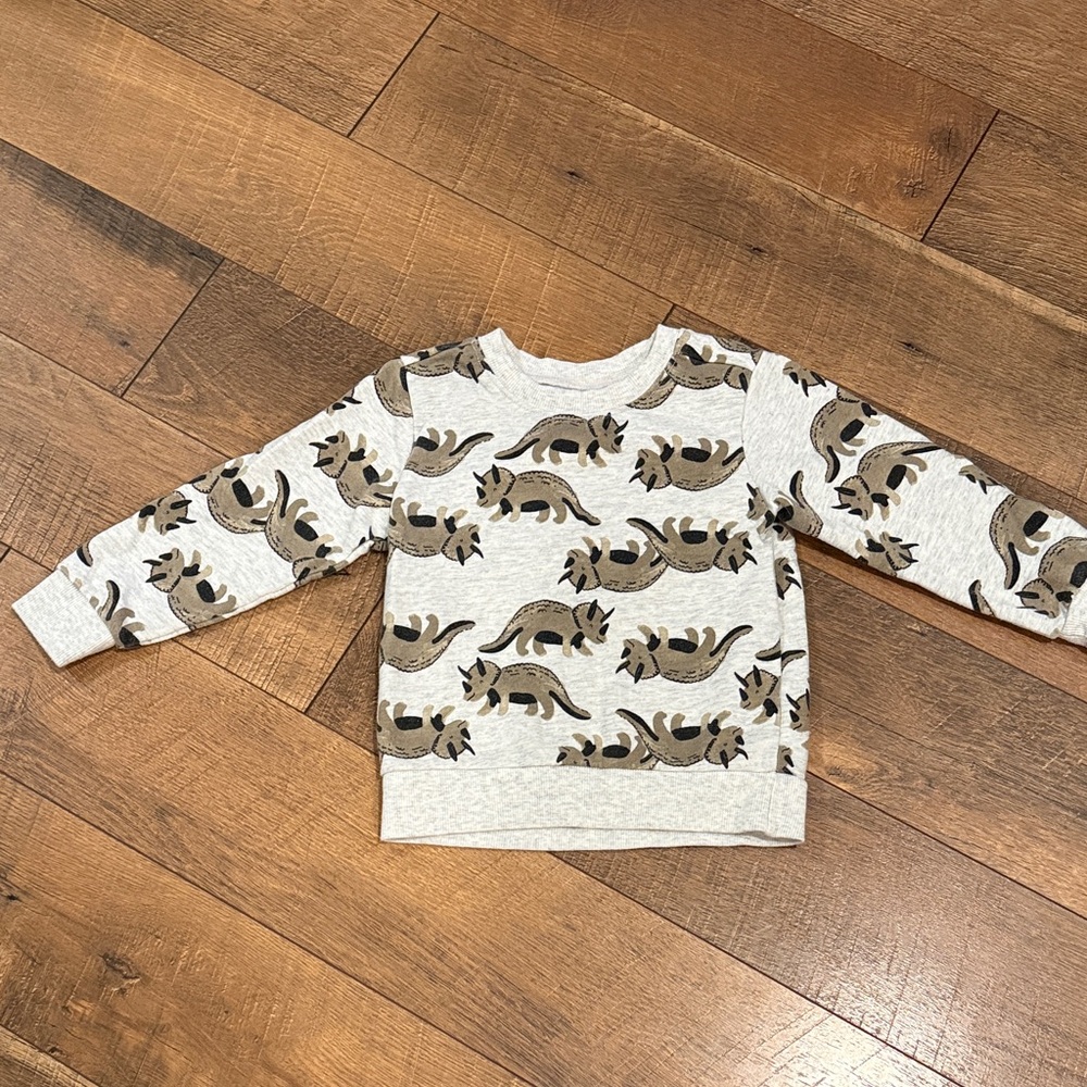 Carter's Gray Triceratops Sweatshirt